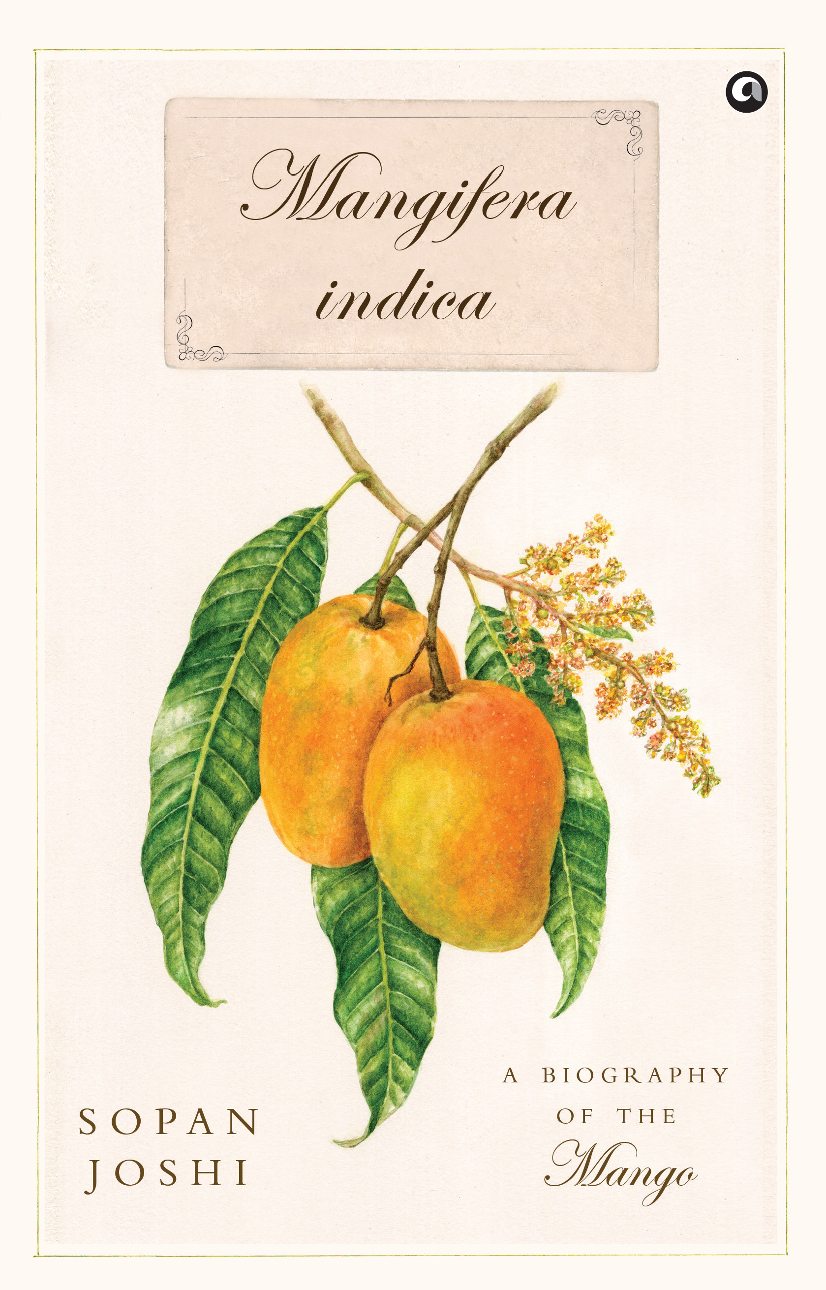 Mangifera indica: A Biography of the Mango
